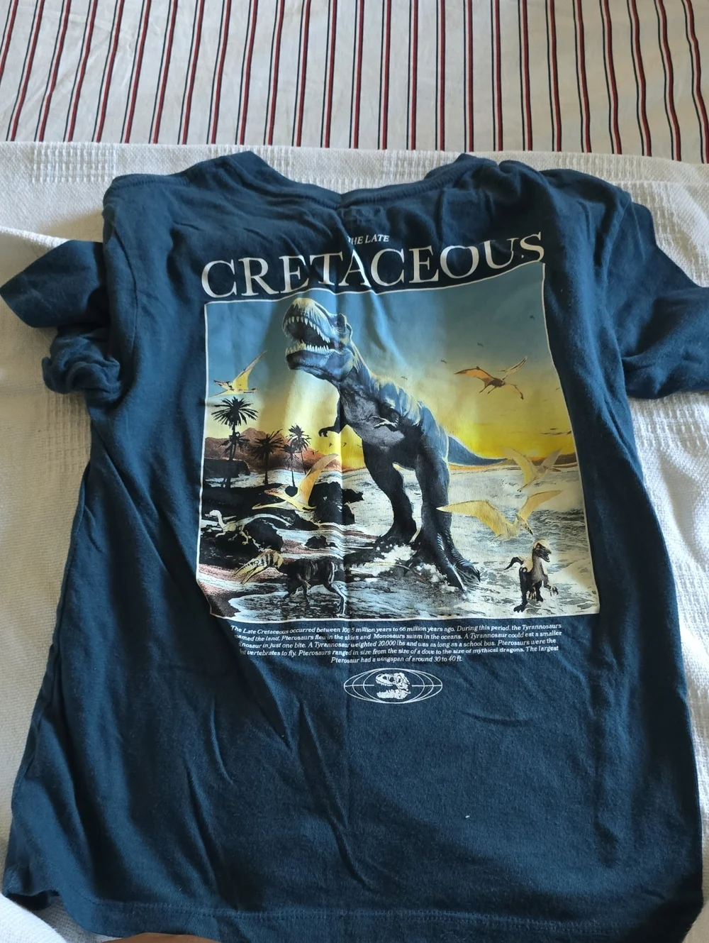 Kids Short-Sleeve Graphic Tee Lot (7)